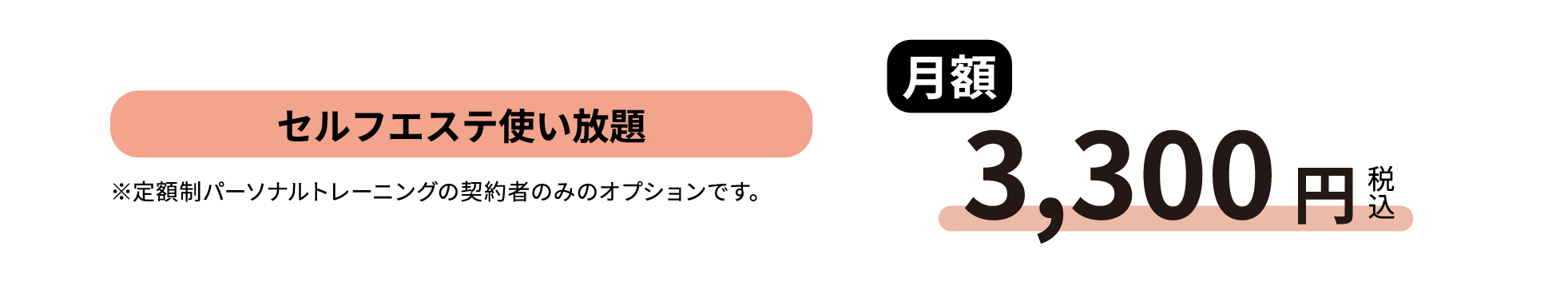 3,300円