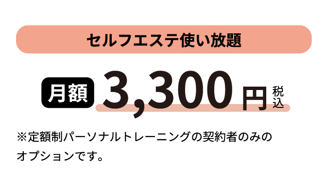 3,300円